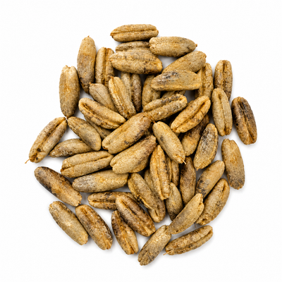 Date Seeds